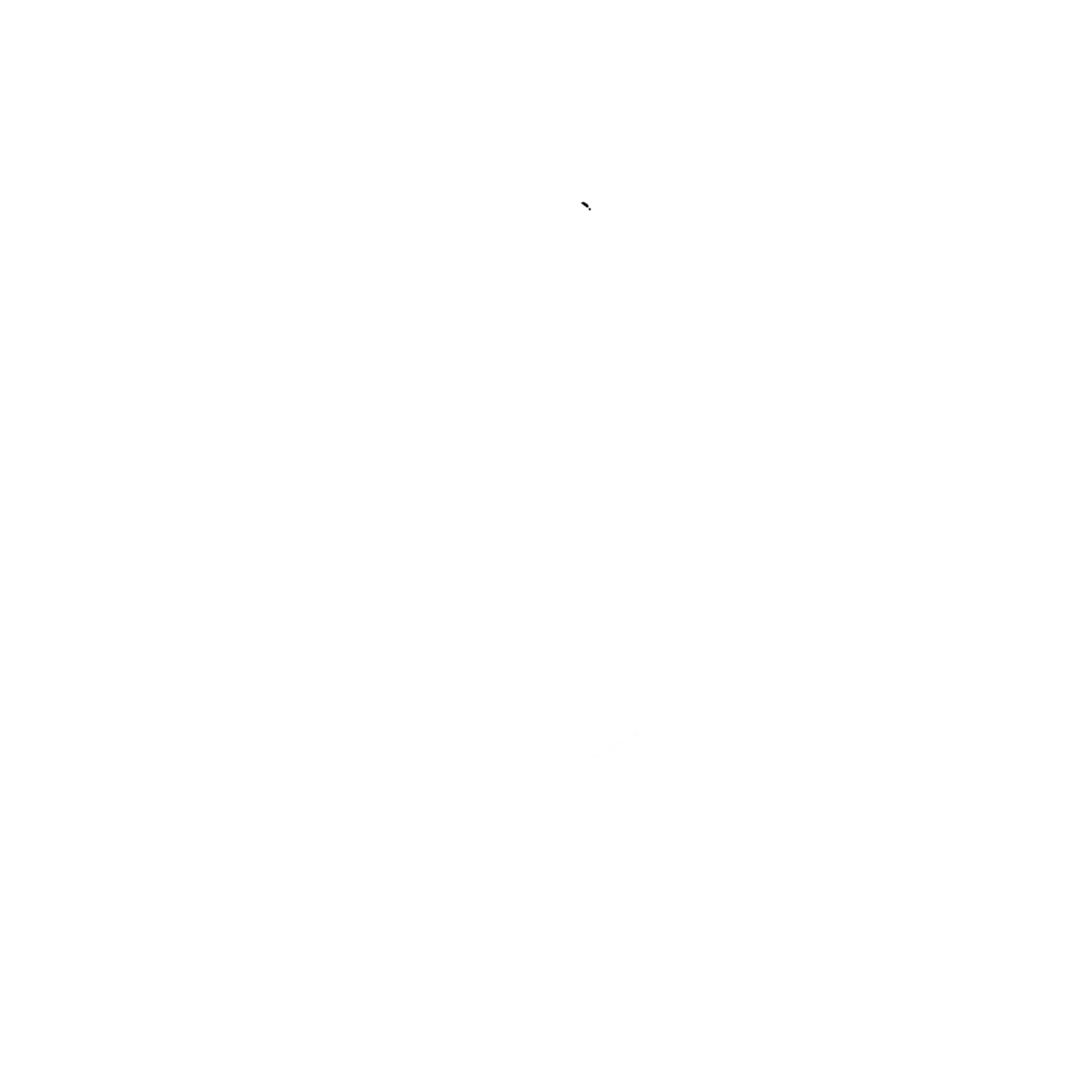 junkfeathers bird logo